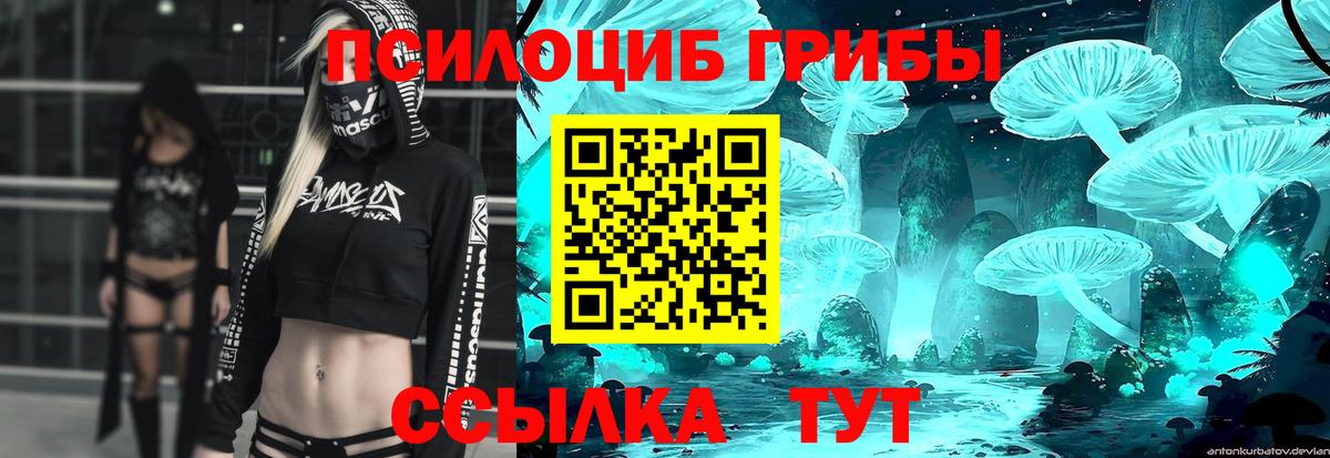 Галлюциногенные грибы MAGIC MUSHROOMS  Вход с VPN  Лабытнанги 